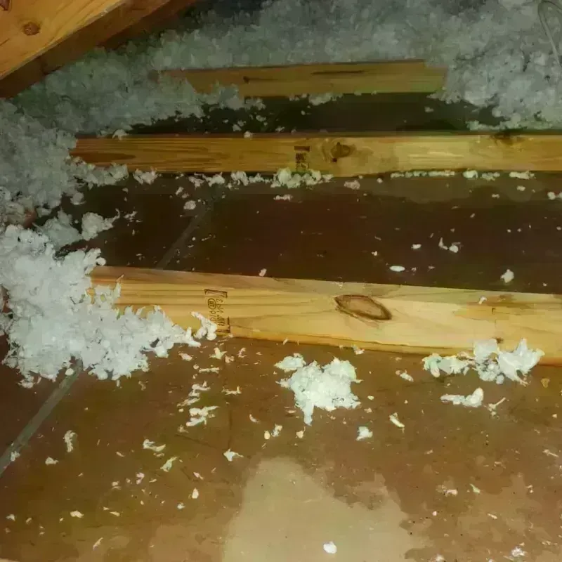 Attic Water Damage in Dell Rapids, SD