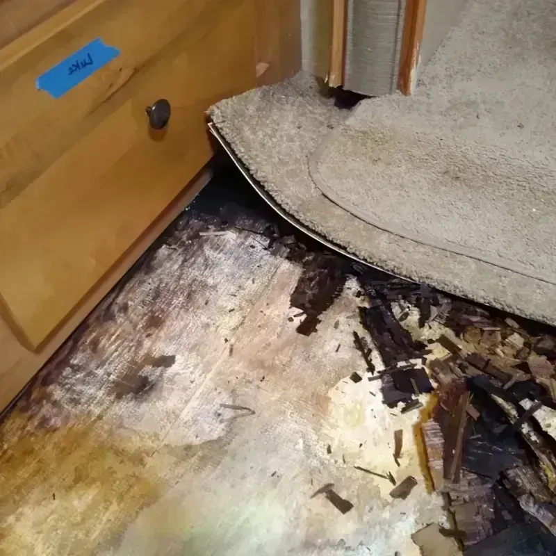 Wood Floor Water Damage in Dell Rapids, SD